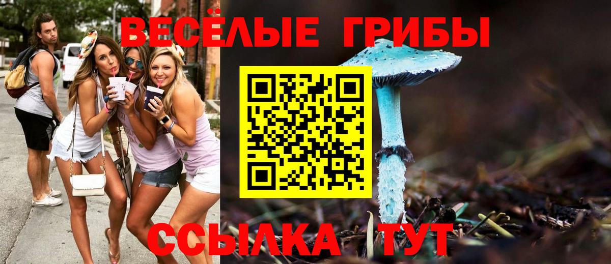 Жигулёвск  Галлюциногенные грибы Psilocybine cubensis  Вход с VPN 